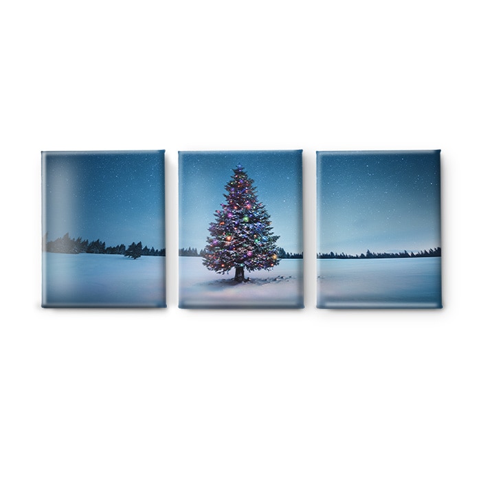 Split Canvas Prints