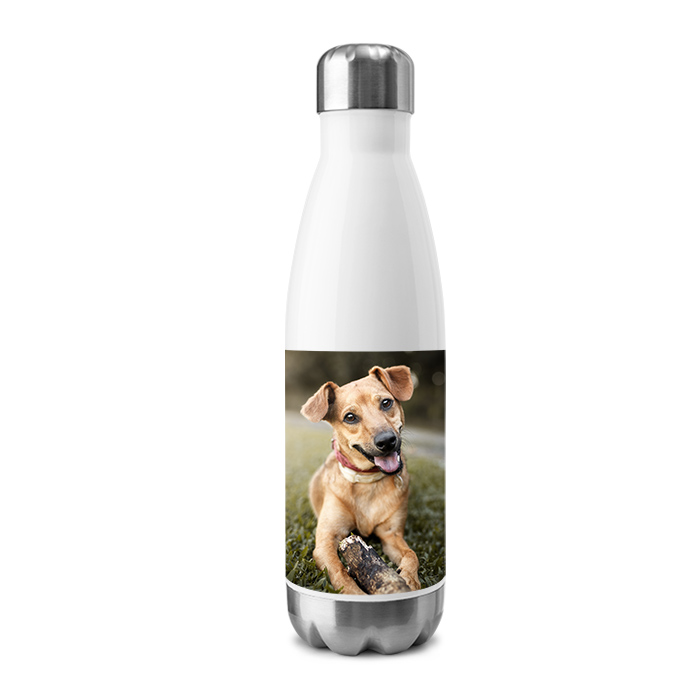 Stainless Insulated Water Bottle