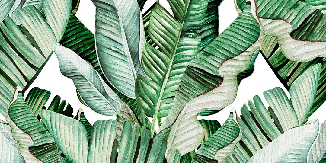 Botanicals