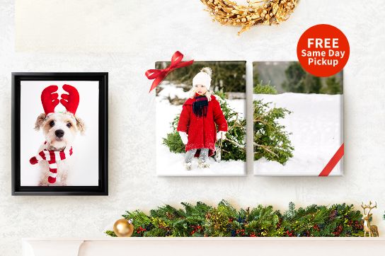 FREE Same Day Pickup