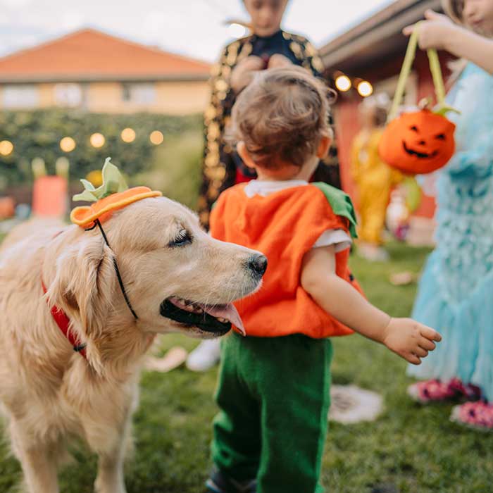 10 ways to celebrate Halloween during COVID-19