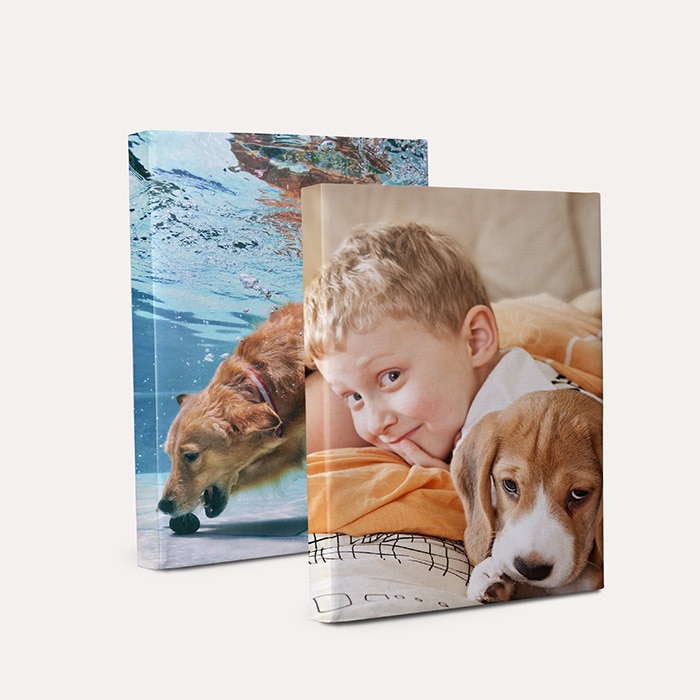 Canvas Prints image