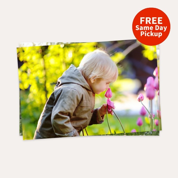 FREE Same Day Pickup